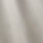 Pelle Materiale Pagina