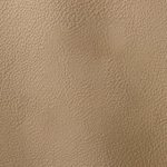 Pelle Materiale Pagina