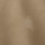 Pelle Materiale Pagina