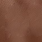 Pelle Materiale Pagina