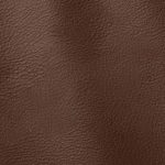 Pelle Materiale Pagina