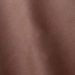 Pelle Materiale Pagina