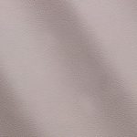 Pelle Materiale Pagina