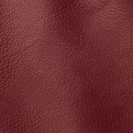 Pelle Materiale Pagina