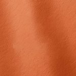 Pelle Materiale Pagina