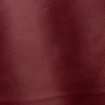 Pelle Materiale Pagina