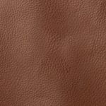 Pelle Materiale Pagina