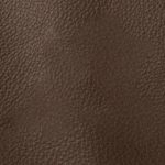 Pelle Materiale Pagina
