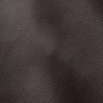 Pelle Materiale Pagina