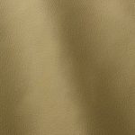 Pelle Materiale Pagina