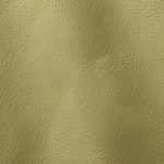 Pelle Materiale Pagina