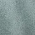 Pelle Materiale Pagina