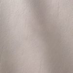 Pelle Materiale Pagina