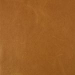 Pelle Materiale Pagina
