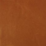 Pelle Materiale Pagina