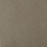 Pelle Materiale Pagina