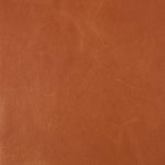 Pelle Materiale Pagina