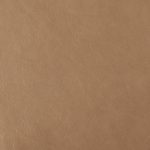 Pelle Materiale Pagina