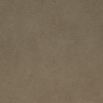 Pelle Materiale Pagina