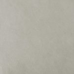 Pelle Materiale Pagina