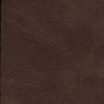 Pelle Materiale Pagina