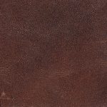 Pelle Materiale Pagina