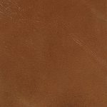 Pelle Materiale Pagina