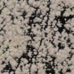 Tessuto Materiale Pagina Tessuto Materiale Pagina